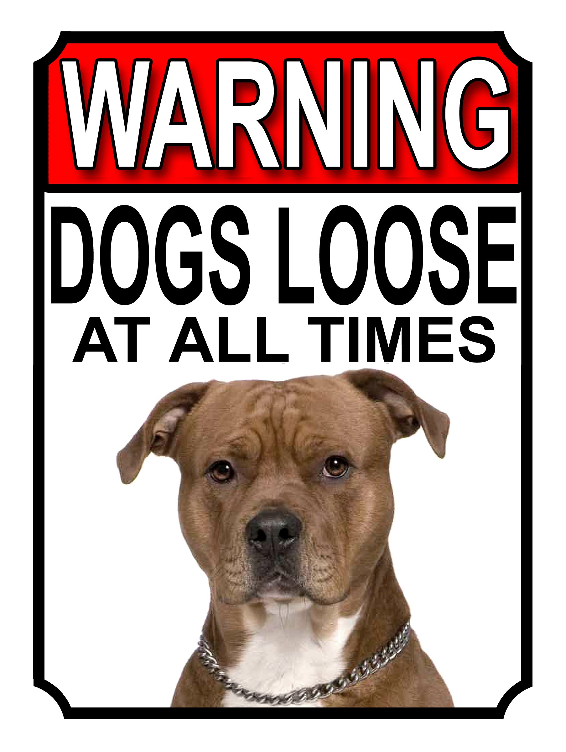 WARNING DOGS LOOSE AT ALL TIMES METAL GATE SIGN AMERICAN PIT BULL 200MM X 150MM (1235H1) โ image 1