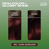 Clairol Natural Instincts Semi-Permanent No Ammonia Hair Dye 4RV Dark Burgundy view 3
