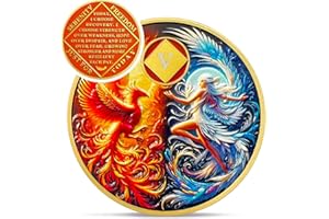 IELCJJ Phoenix Fairy 5 Year Na Medallions - Sun and Moon Sobriety Coin - Five Year Recovery Addiction Token - Celebrate Clean and Sober Chip - 0-10 Prime Narcotics Anonymous Gifts for Men Women