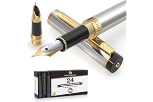 Dryden Designs Fountain Pen - Medium and Fine Nibs - Metallic Silver - Includes 24 Ink Cartridges - 12 Black and 12 Blue.