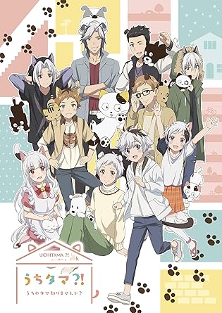 Amazon うちタマ うちのタマ知りませんか 6 完全生産限定版 Blu Ray アニメ