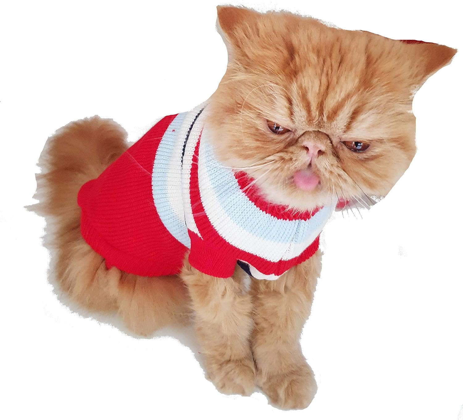 Cute Knitted SMALL MEDIUM LARGE Puppy Cat Kitten Warm Winter Girl Boy Cold Weather Vest Sweatshirt Clothes Jacket Coat Christmas Ideas Pullover Jumper Sweater Big Stripes Red White S (10) - Image 3
