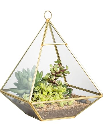 Cajas para plantas | Amazon.es