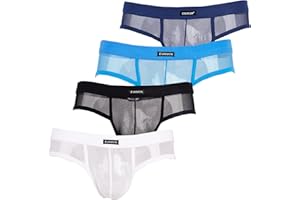 Evankin Men's Underwear Sexy Mesh Breathable Boxer Briefs Low Rise Cool Valentines Boxers Pack Set