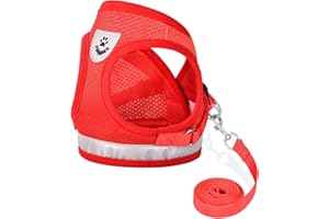 GAUTERF Cat Harnesses and Puppy Harness with Leashes Set, Escape Proof Cat Harness, Adjustable Reflective Soft Mesh Vest Fit Puppy Kitten Rabbit Ferrets's Outdoor Harness