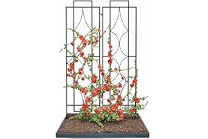 IDZO 2-Piece Diamonds Design Decoration Trellis, Metal Decorative Trellis for Climbing Plants Outdoor, Garden Trellis for Climbing Plants, Climbing Rose Trellis, 48-Inch Tall Each, Black