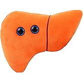 GIANT MICROBES Stuffed Liver Plush, Liver Stuffed Animal, Anatomical Model, Hepatologist Gift, Organ Transplant Gifts, Hepatitis, Hepatology, Cirrhosis Gift, Liver Pillow, Organ Donor Gifts