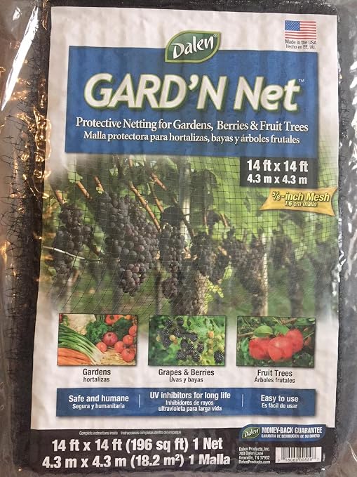 Dalen Gard n Red: Amazon.es: Jardín