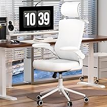 Amazon.com: FOKESUN Ergonomic Office Chair, High Back Mesh