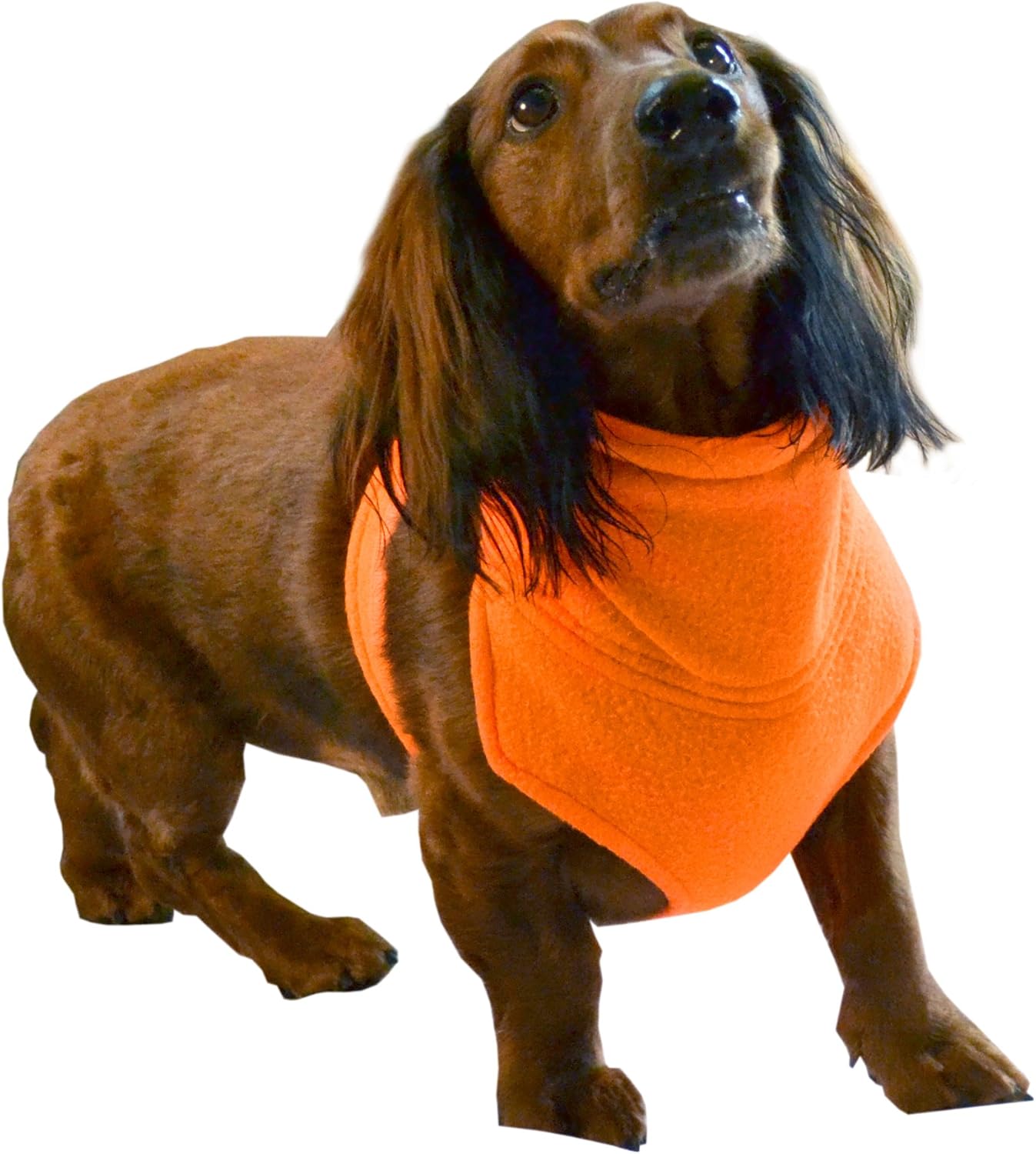 The Doggy Dickey Fleece Neck and Chest Warmer for Small