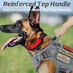 rabbitgoo Tactical Dog Harness for Large, Heavy