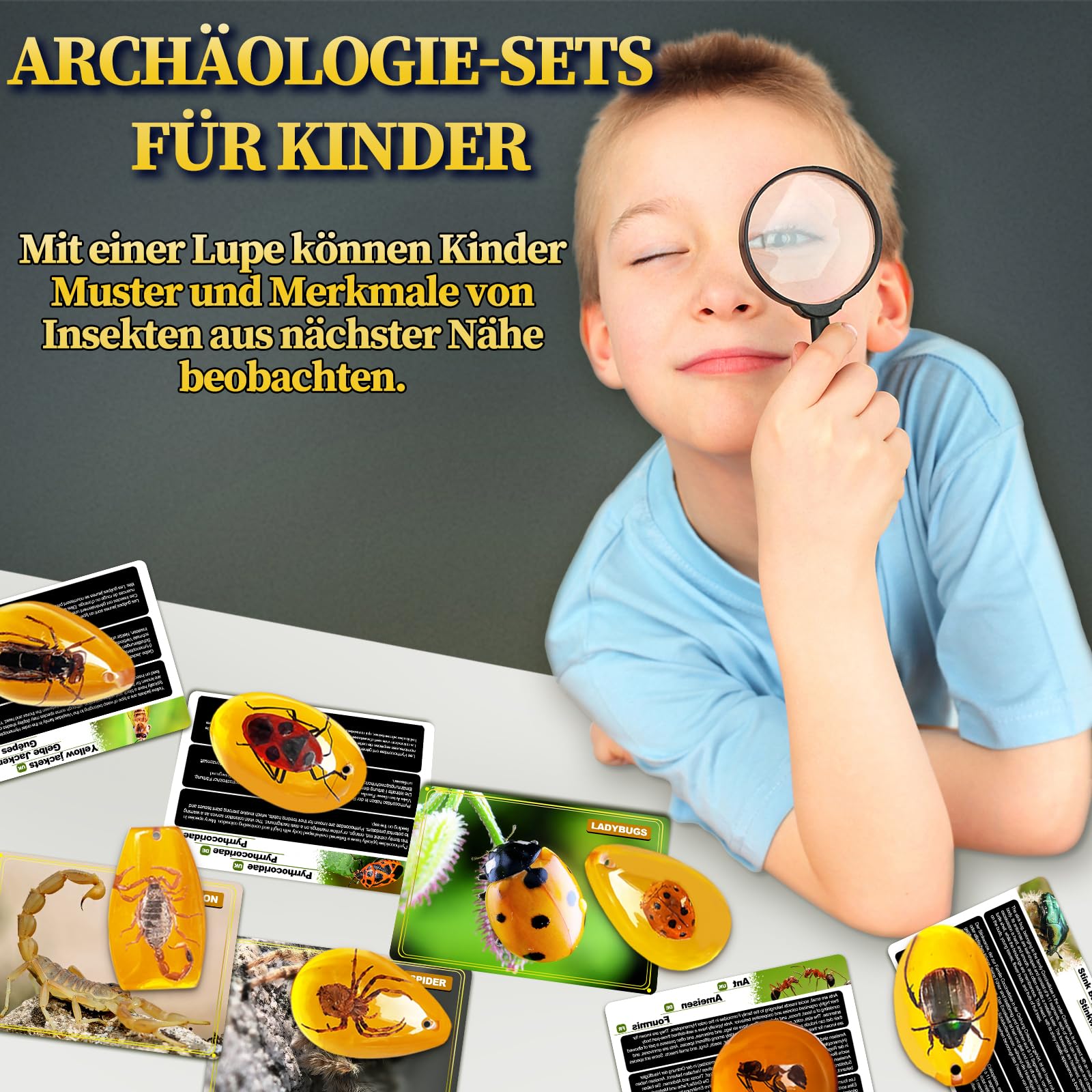 Bernstein Ausgrabungsset für Kinder ab 6 7 8 9 10 11 12 Jahren, Fossilien Ausgrabungsset Kinder mit 7 Künstliche Insektenfossilien und Ausgrabungszubehör, Edelsteine Ausgraben für Jungen Mädchen 4