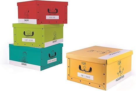 Excelsa 62451 Juego Cajas de almacenaje (cartón, Multicolor, 4 Unidad: Amazon.es: Hogar