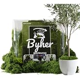 BYHER Fake Moss for Plants Indoor, 7OZ Value Pack - Artificial Grass for Crafts, Floral Arrangements &amp; Potted Plants, Natural Moss Alternative for Terrariums, Fairy Gardens (Dark Green)