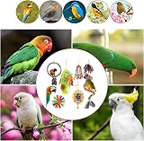 MYMULIKE 6 Packs Bird Shredder Toys for Small to Medium Birds Safe Natural view 7