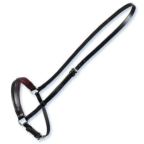 Stübben Hannoveranisches Reithalfter 3000 Limerick