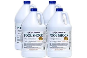 EZ POOLS Champion Liquid Chlorine (4-Pack) - Swimming Pool & Spa Liquid Shock Treatment - Raises Chlorine - 4 Gallons