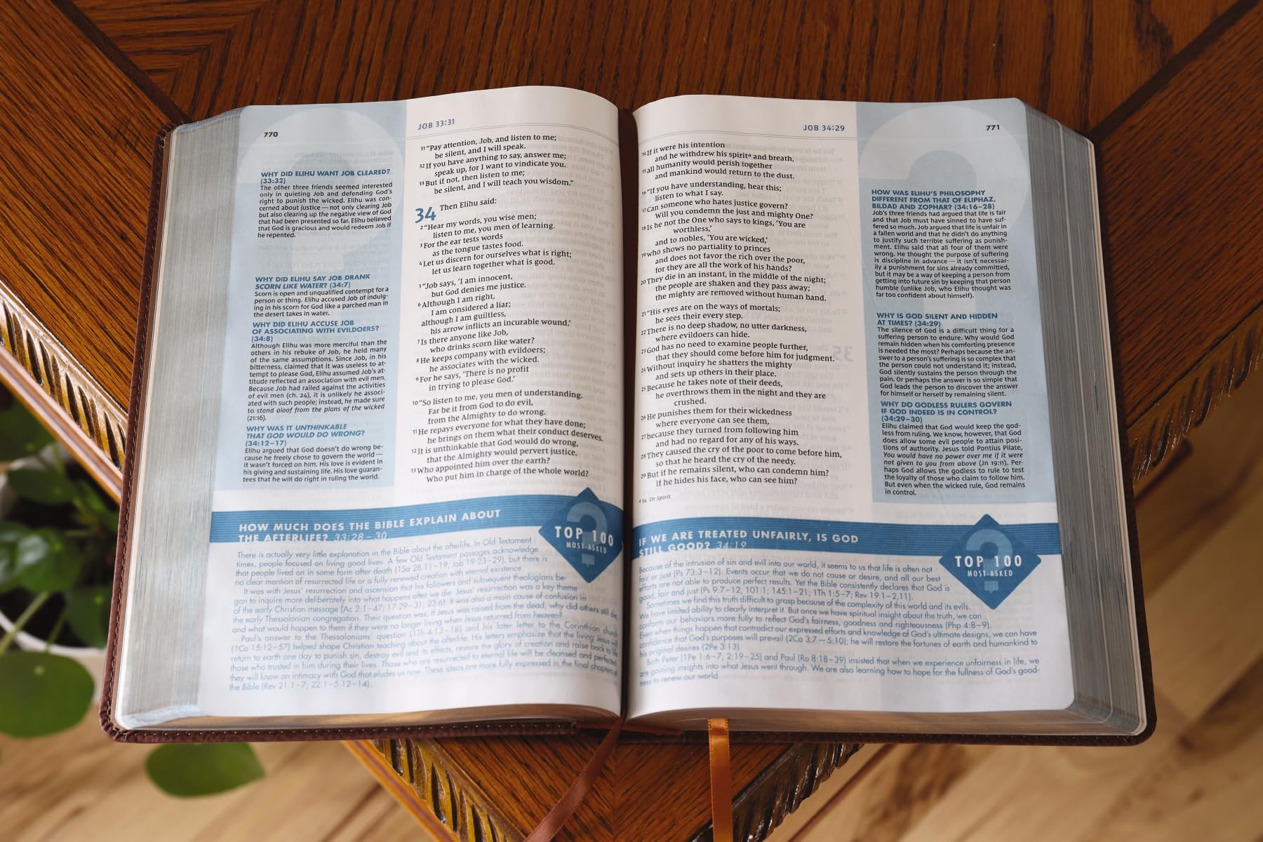 NIV, Quest Study Bible, Leathersoft, Brown, Comfort Print: The Only Q and A Study Bible