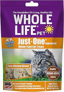 dogs trust rescue dogs