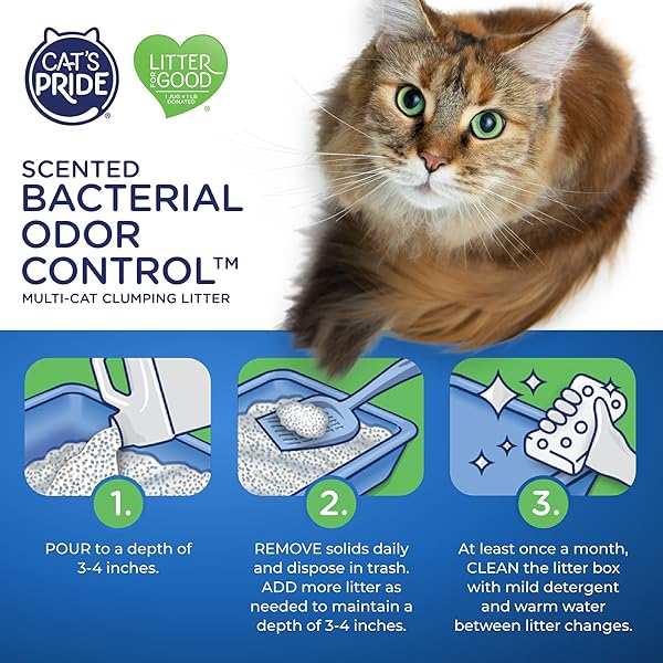 CAT’S PRIDE MAX POWER: BACTERIAL ODOR CONTROL – UP TO 10 DAYS OF POWERFUL ODOR CONTROL – STRONG CLUMPING – 99% DUST FREE – MULTI-CAT LITTER, FRESH SCENTED, 15 POUNDS