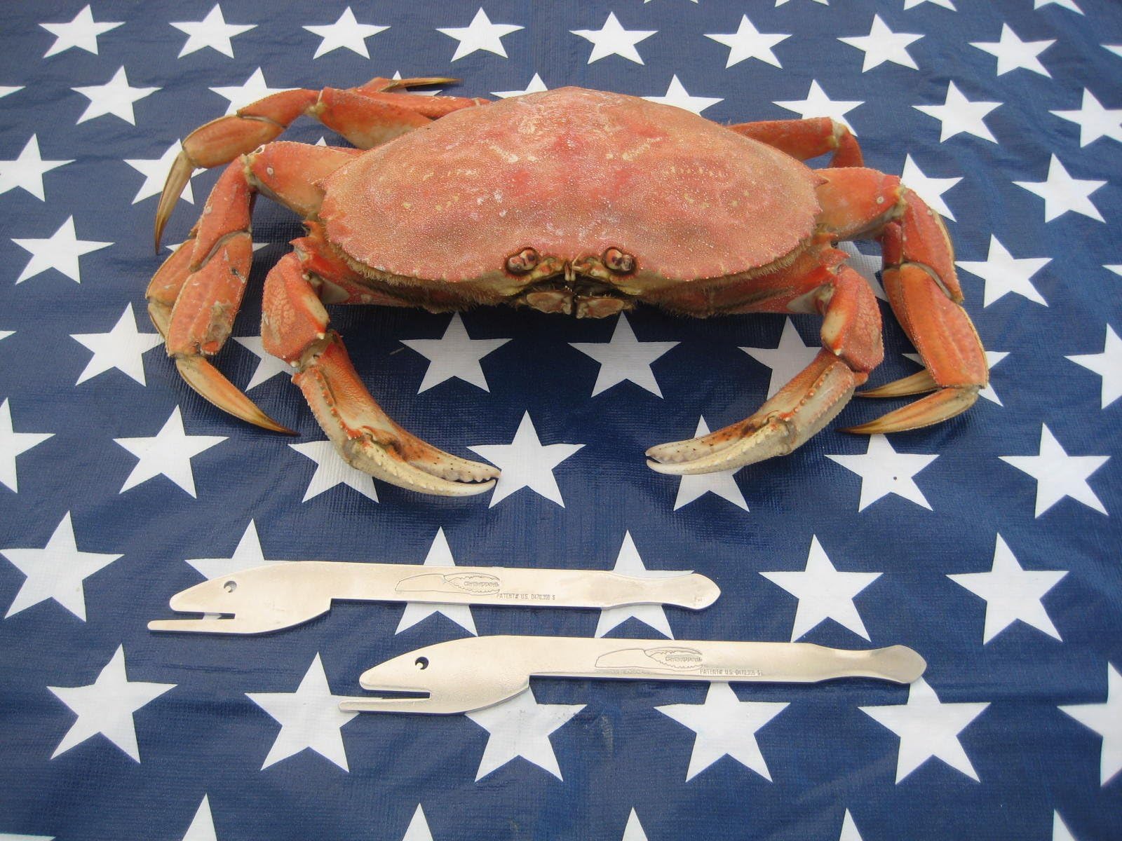 The Crabappeal Shellfish Opener Shell Cracker opens crab and lobster with ease.