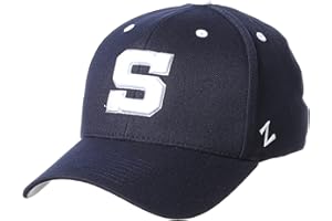 ZHATS NCAA Mens Stretch Fitted Hat Vault