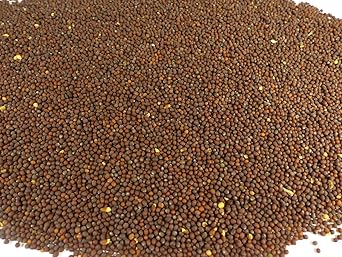 Senfkörner braun/schwarz ganz Naturideen® 100g
