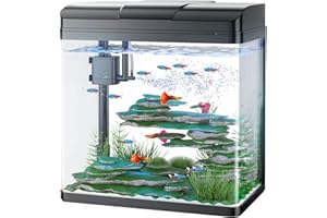 PONDON 5 Gallon Fish Tank, Glass Aquarium with Air Pump, LED Cool Lights and Filter, Betta Fish Aquarium Starter Kit (Black)