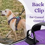 rabbitgoo Dog Harness Medium Adjustable No Pull Reflective Purple M view 8