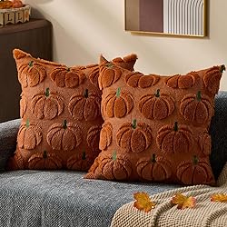 DFXSZ Fall Pillow Covers 18x18 Set of 2 Fall