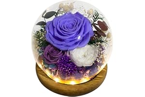 Valley of Rain & Forest Long-Lasting Real Flowers, Unique Floral Gift For you to send Love for All Occasions, for Indoor Decoration (Violet Rose, Purple rose, White Austin Rose)