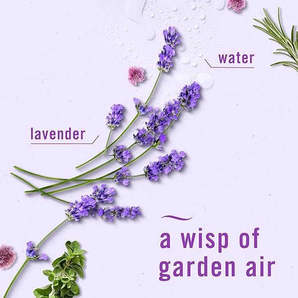 FEBREZE SMALL SPACES AIR FRESHENER, ODOR-FIGHTING, PLUG-IN ALTERNATIVE, AIR FRESHENERS FOR HOME AND BATHROOM AND KITCHEN, CLOSET AIR FRESHENERS, LIGHT LAVENDER SCENT, 2 COUNT