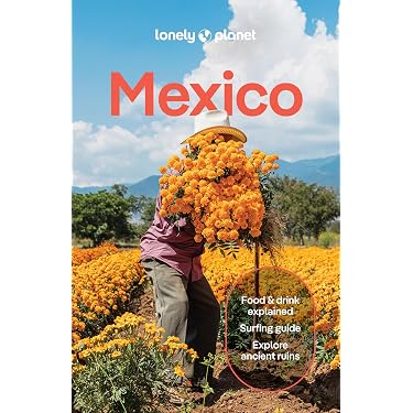 Amazon Best Sellers: Best Budget Travel Guides