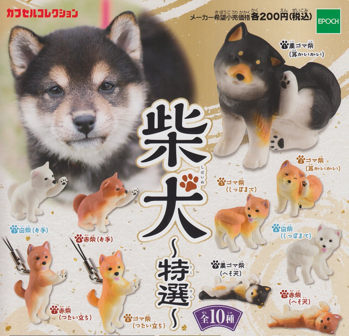 柴犬雑貨がかわいすぎる 柴犬モチーフの人気雑貨を大特集