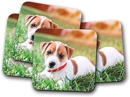 Amazon Co Jp 4セット ジャック ラッセル テリアの子犬コースター 犬かわいい動物の赤ちゃんギフト ホーム キッチン