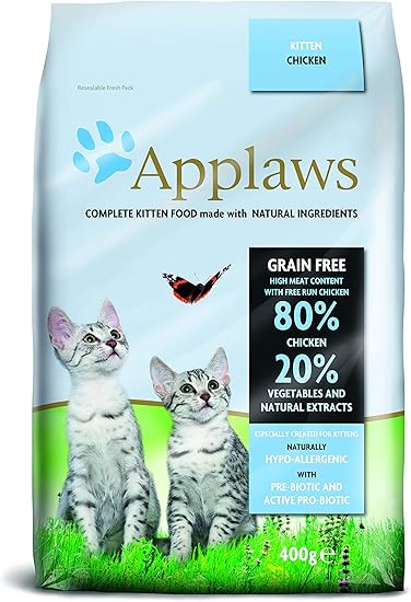 senior cat stopped eating