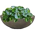Sunnydaze Percival 20.75" Double-Walled Polyresin Outdoor Planter Bowl with UV-Resistant Sable Finish