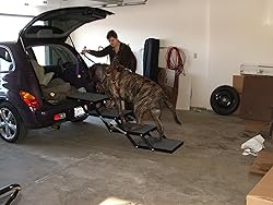 Pet Loader® XL 18" Platform, USA ABS, 5-Step