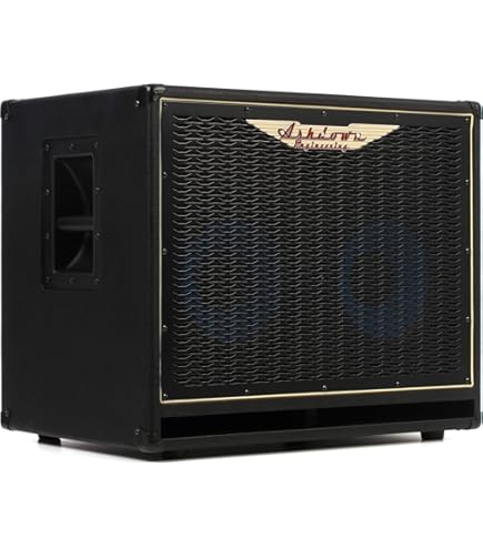 Amazon.com: Ashdown ABM 115H EVO IV 1x15 Inches 300-Watt Compact