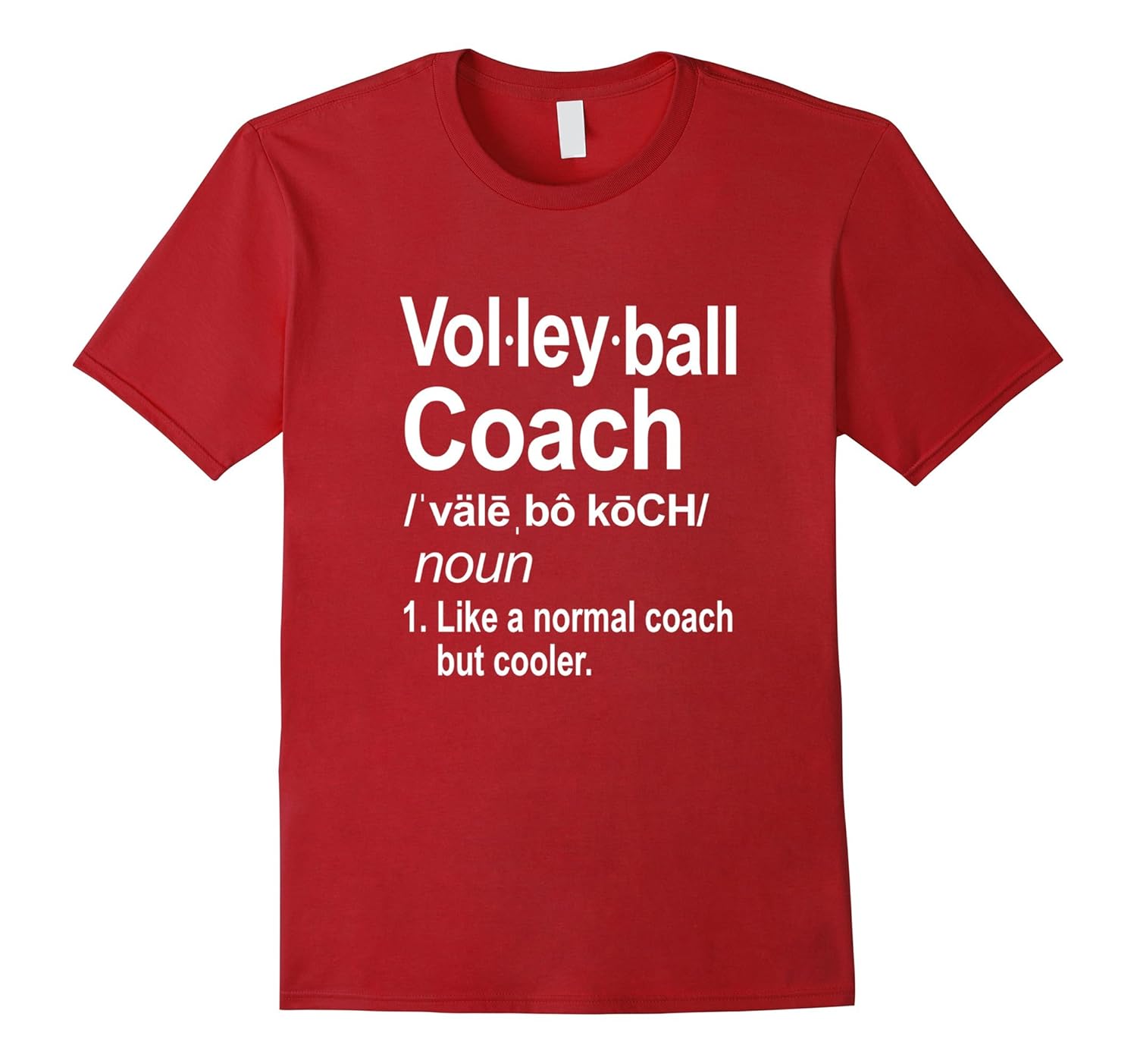 Volleyball Coach definition funny saying Tshirt Gift4LVS 4loveshirt