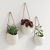 Kazai Ellie Wall Planters 3 Piece Cream Matte Ceramic Hanging Pots view 1