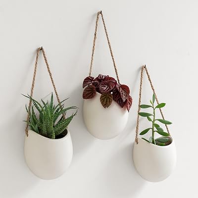 Kazai Ellie Wall Planters 3 Piece Cream Matte Ceramic Hanging Pots