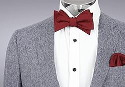 Alizeal Men's Paisley Jacquard Tuxedo Self Bow Tie