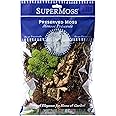 SuperMoss (23303) Moss Mix – Premium Decorative Moss for Crafts, Terrariums, Wedding & Table Décor, 80.75 Cubic inches (Approx. 2 oz), Oregon