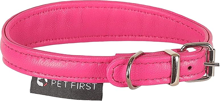First collar for puppy Clearance