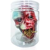 81y4ZMi0GcL. AC UL160 SR160,160 Candles, Herbs, and Oils: Tools of Voodoo Rituals and Their Uses