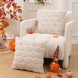 DFXSZ Fall Pillow Covers 16x16 Set of 2 Fall