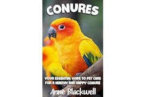 Conures: Your Essential Guide to Pet Care for a Healthy and Happy Conure