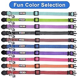 Pawtitas Reflective Cat Collar with Safety Buckle