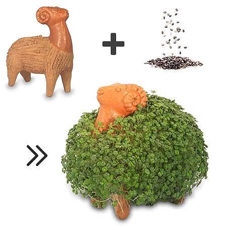 Anzuchtset für Keimsprossen & Keimlinge aus Chia Samen - Chia Pets bzw. Chia Tiere - 100% handgemachte Tonfigur als Geschenk 